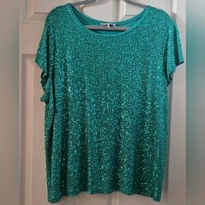 Dress Barn Mini Sequin Blouse